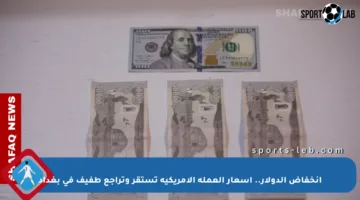 انخفاض الدولار.. أسعار العملة الأمريكية تستقر وتراجع طفيف في بغداد